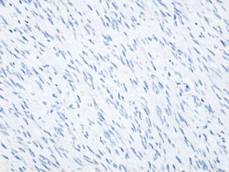 Abstract Image