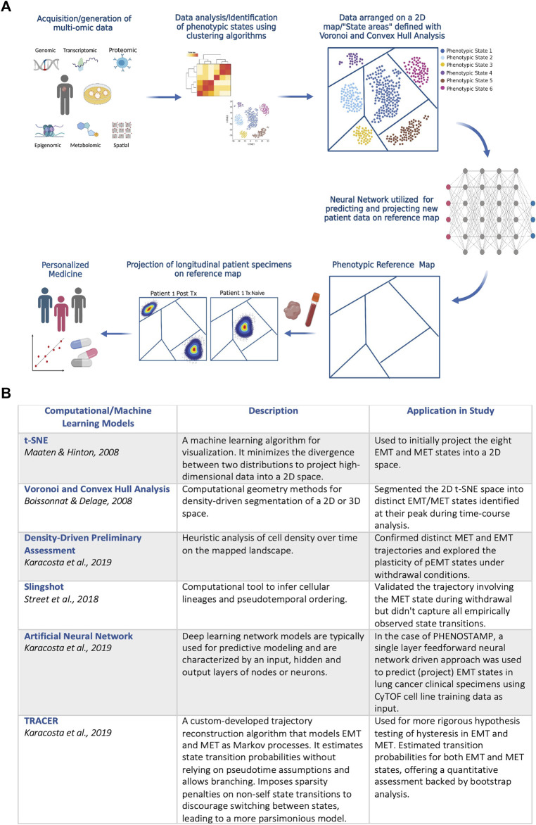 Phenotypic maps for precision medicine: a promising systems biology tool for assessing therapy response and resistance at a personalized level.