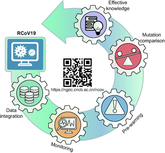 RCoV19: A One-stop Hub for SARS-CoV-2 Genome Data Integration, Variant Monitoring, and Risk Pre-warning