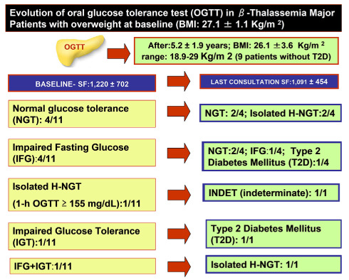 The effects of excess weight on glucose homeostasis in young adult females with β-thalassemia major (β-TM): a preliminary retrospective study.