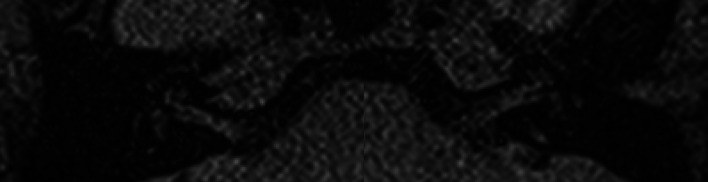 Abstract Image