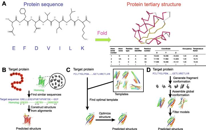 Protein Structure Prediction: Challenges, Advances, and the Shift of Research Paradigms