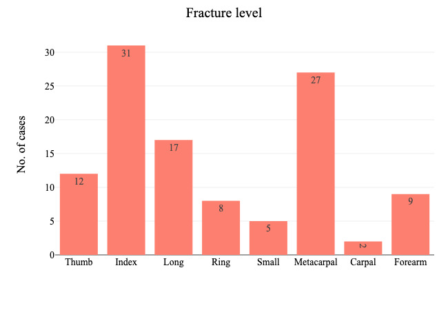 Bone Injuries in the Hand and Forearm: Prevalence and Psychological Ramifications.