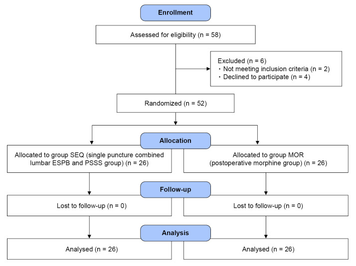 Single puncture combined lumbar erector spinae plane and quadratus lumborum block (SEQ block) in acetabular fracture surgeries: randomized clinical trial.