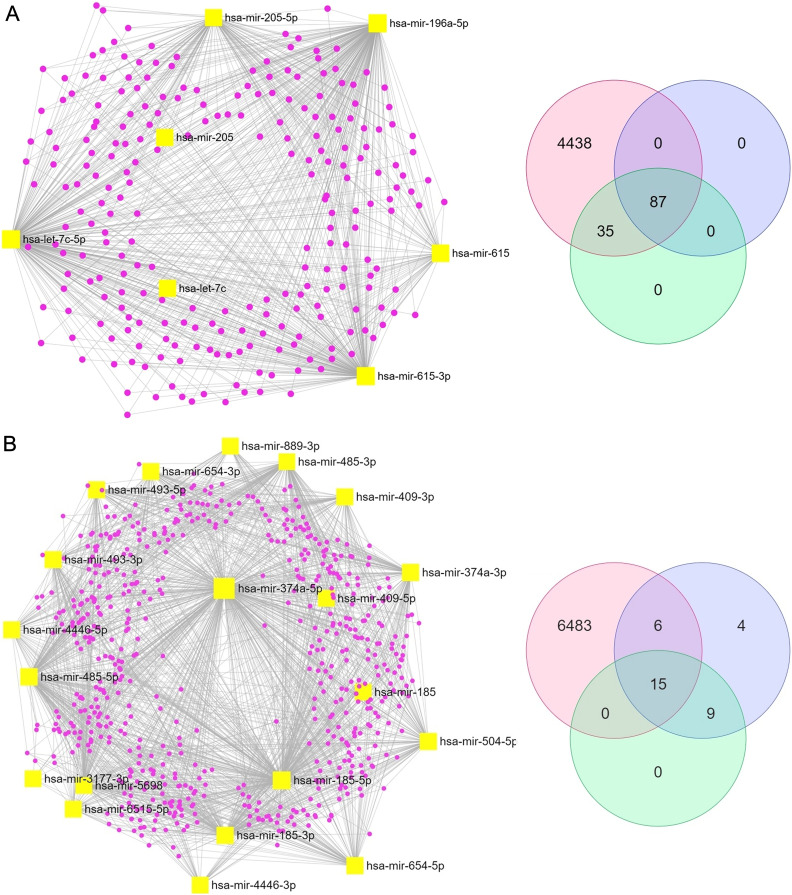 Exosomal Circular Ribonucleic Acid-Microribonucleic Acid Expression Profile from Plasma in Alzheimer's Disease Patients by Bioinformatics and Integrative Analysis.