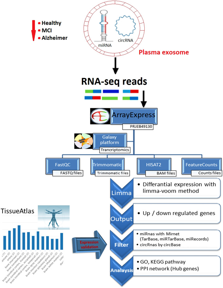 Exosomal Circular Ribonucleic Acid-Microribonucleic Acid Expression Profile from Plasma in Alzheimer's Disease Patients by Bioinformatics and Integrative Analysis.