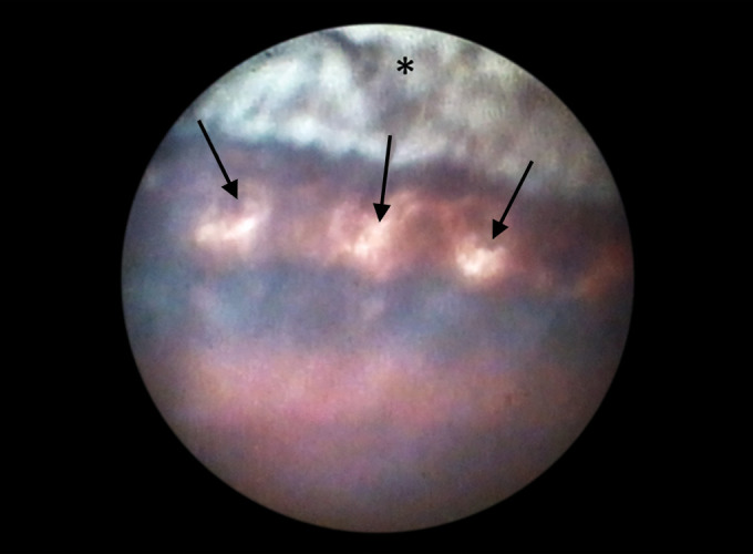 Abstract Image