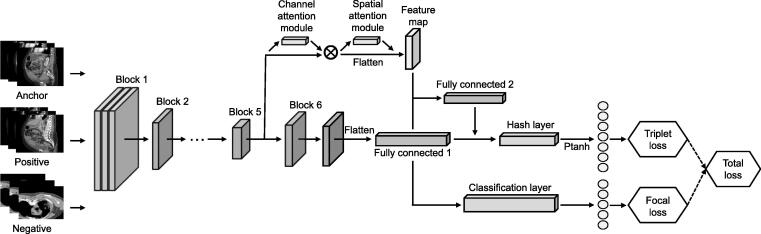 OBIA: An Open Biomedical Imaging Archive