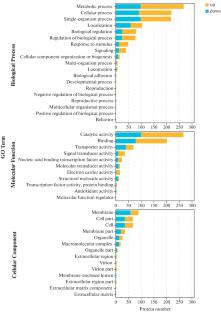 Mechanisms Underlying the Virulence and Intestinal Colonization of the Vibrio alginolyticus HY9901 DctP Protein with Proteomic Analysis