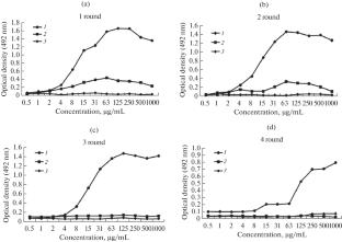 Phage Antibodies for Kanamycin Detection