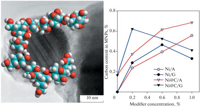 In Situ Encapsulation of Nickel Nanoparticles in Polysaccharide Shells during Their Fabrication by Electrical Explosion of Wire