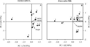 Use of Exploratory Analysis for Recommendation of Seed Priming with Hydrogen Peroxide on Lettuce and Arugula Cultivated with Brackish Water