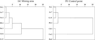 Characterization and Ecological Risk Assessment of Toxic Metal Contaminants in the Soil Around the Coal Gangue Hill in Huainan, Central China