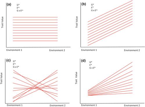 The role of phenotypic plasticity in shaping ecological networks