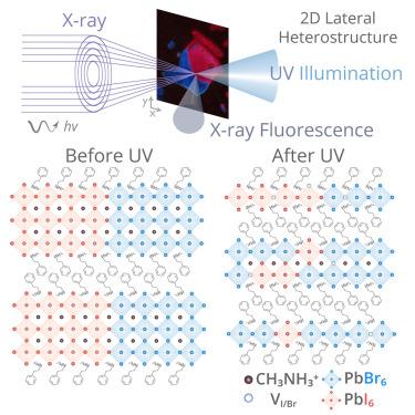 Photo-induced halide redistribution in 2D halide perovskite lateral heterostructures