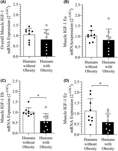 Lower muscle protein synthesis in humans with obesity concurrent with lower expression of muscle IGF1 splice variants