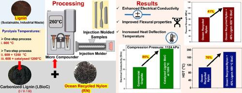 A sustainable approach for developing biocarbon from lignin and its utilization in recycled ocean nylon based biocomposites