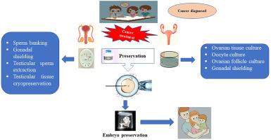 Oncofertility: Treatment options from bench to bedside