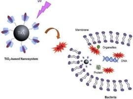 Photocatalytic and antibacterial performance of β-cyclodextrin-TiO2 nanoparticles loading sorbic and benzoic acids