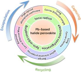 The importance of elemental lead to perovskites photovoltaics