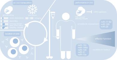 Leveraging microRNAs for cellular therapy