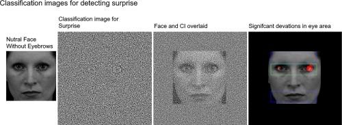 What surprises the Mona Lisa? The relative importance of the eyes and eyebrows for detecting surprise in briefly presented face stimuli