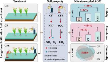 Long-term fertilization enhances the activity of anaerobic oxidation of methane coupled to nitrate reduction and associated microbial abundance in paddy soils