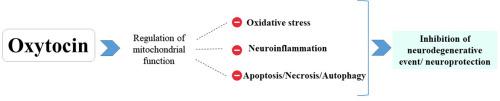 Oxytocin as neuro-hormone and neuro-regulator exert neuroprotective properties: A mechanistic graphical review