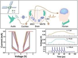 High consistency VO2 memristor for artificial auditory neuron