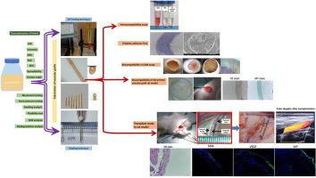 Extracellular-matrix Composite Bioink for 3D bioprinting and molding of small diameter vascular grafts