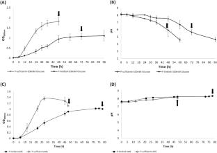 Unusual concurrence of P-solubilizing and biocontrol traits under P-limitation in plant-beneficial Pseudomonas aeruginosa P4: insights from in vitro metabolic and gene expression analysis