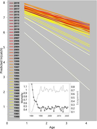 Rapid changes in age structure, mortality, and escapement accompanied stock recovery of the estuarine Red Drum population of Texas