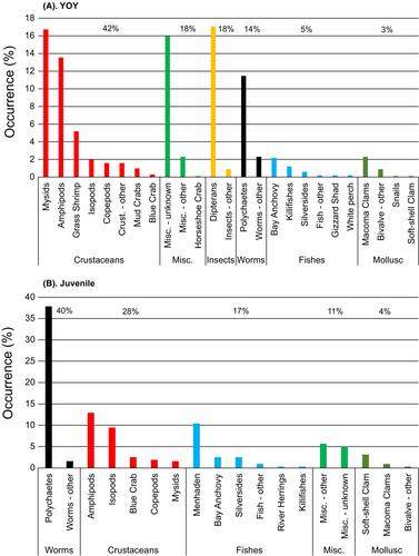 Juvenile Striped Bass consume diverse prey in Chesapeake Bay tributaries