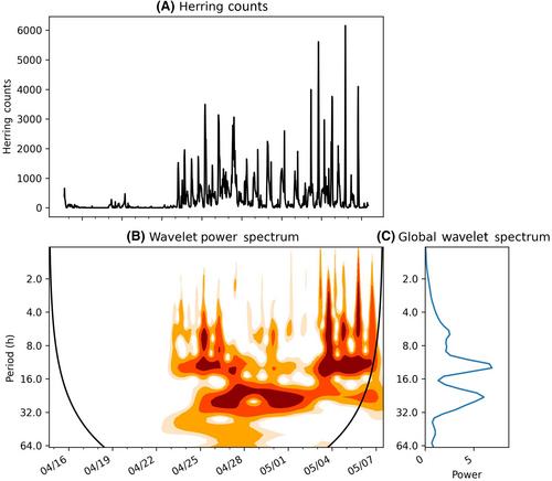 Waiting for the right time and tide: The fine-scale migratory behavior of river herring in two coastal New England streams