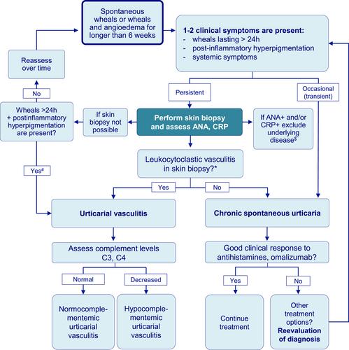 Differential diagnosis between urticarial vasculitis and chronic spontaneous urticaria: An international Delphi survey