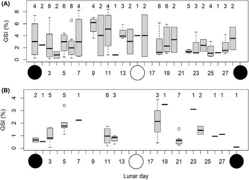 Working with community fishers to determine the spawning seasonality of two commonly targeted jack species