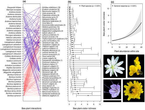 The contributions of flower strips to wild bee conservation in agricultural landscapes can be predicted using pollinator habitat suitability models