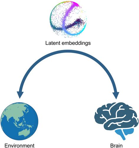 Latent embeddings: An essential representation of brain–environment interactions