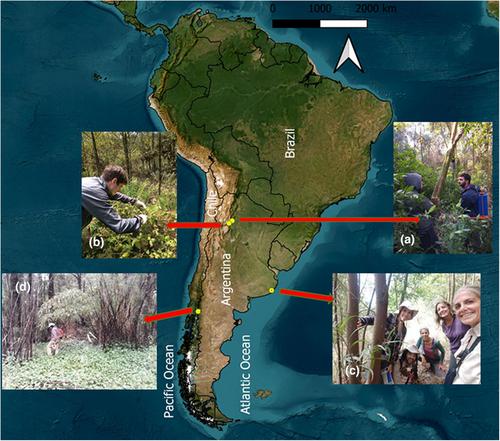 Insights from experiences comanaging woody invasive alien plants in Argentina