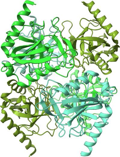 Using structural genomics depositions in undergraduate teaching of protein crystallography: everybody wins