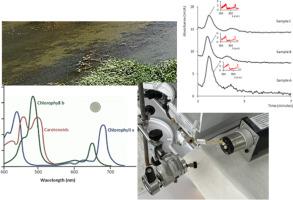 Determination of chlorophylls a and b and β-carotene in environmental waters: Diminishing wastes and analysis time by in-tube solid-phase microextraction coupled on-line to nano liquid chromatography