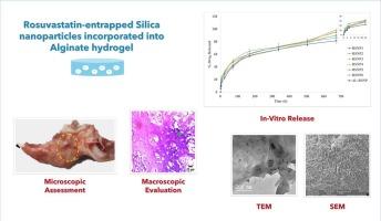 Polymeric nanocomposite hydrogel scaffold for jawbone regeneration: The role of rosuvastatin calcium-loaded silica nanoparticles