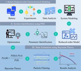 System identification and state estimation of a reduced-order electrochemical model for lithium-ion batteries