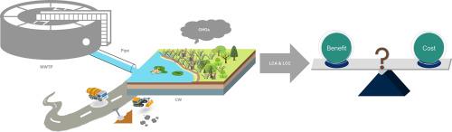 Costs and benefits of constructed wetlands for meeting new water quality standards from China's wastewater treatment plants