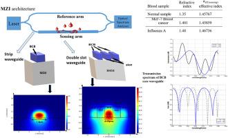 Design of a high-sensitivity polymer double-slot waveguide sensor for point-of-care biomedical applications