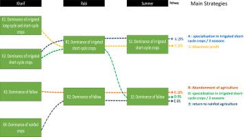 Dynamics of crop category choices reveal strategies and tactics used by smallholder farmers in India to cope with unreliable water availability