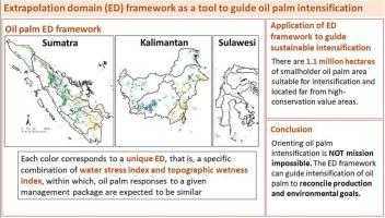 Guiding oil palm intensification through a spatial extrapolation domain framework