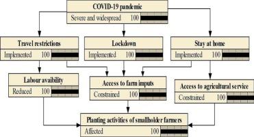 Application of a Bayesian network modelling approach to predict the cascading effects of COVID-19 restrictions on the planting activities of smallholder farmers in Uganda