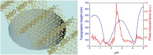 Spatial Tuning of Light–Matter Interaction via Strain-Gradient-Induced Polarization in Freestanding Wrinkled 2D Materials