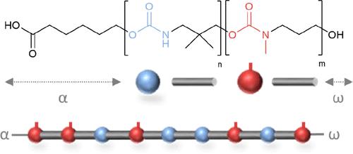 Informational Polymers with Precise Carbamate Sequences